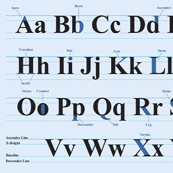 Typography Poster
